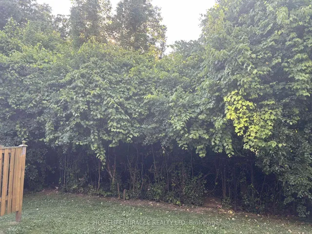 Additional image 49 of 7385 Magistrate Terr Unit 17