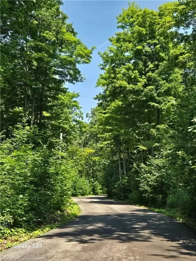 Additional image 18 of 4449 Milburough Line