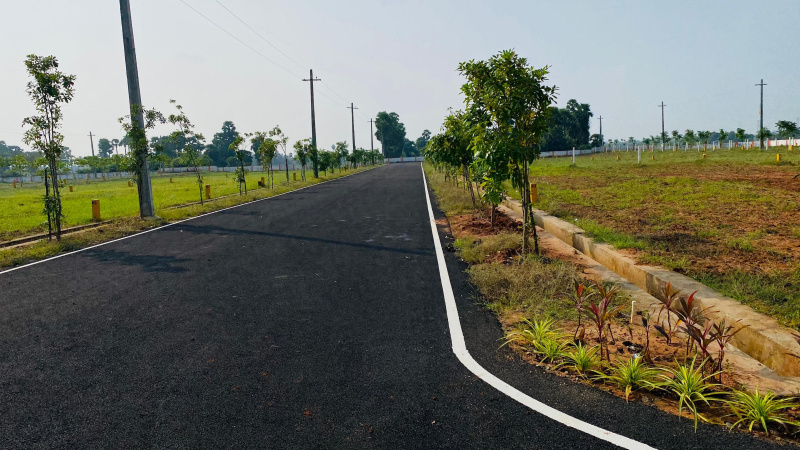 Tagarapuvalasa, Visakhapatnam