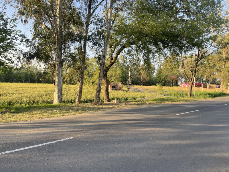 Additional image 3 of Pakhowal Road, Ludhiana