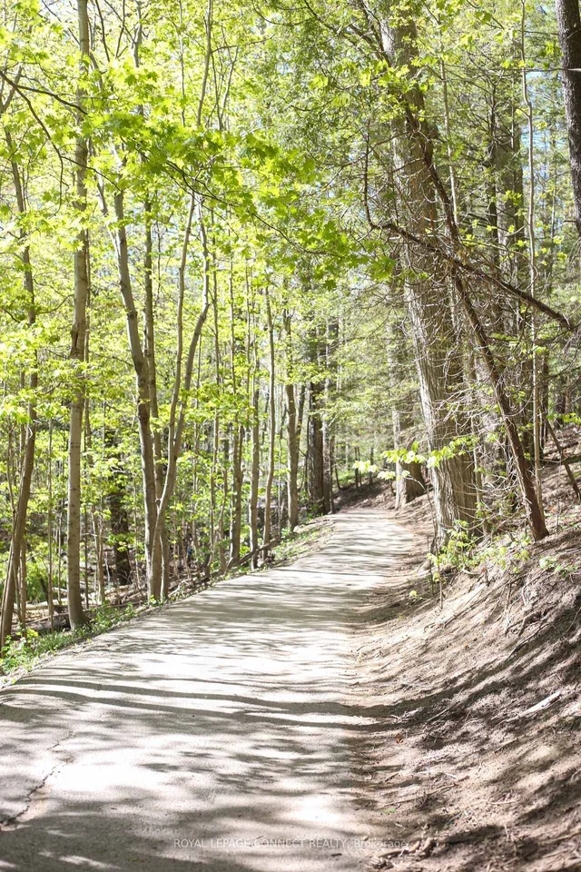 Additional image 50 of 22 Ravine Park Cres