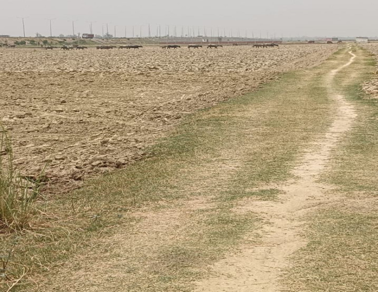 Additional image 3 of Jangal Kauria, Gorakhpur