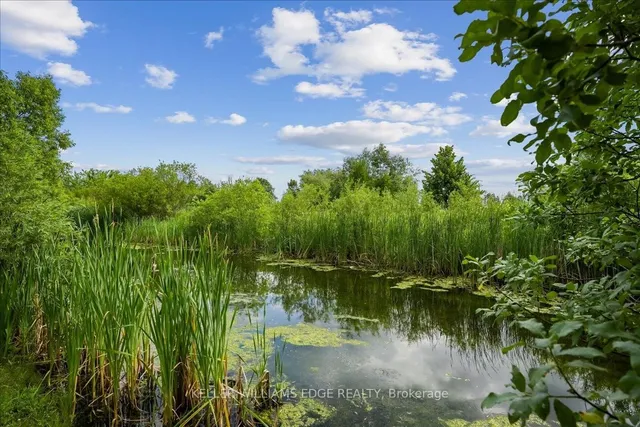 Additional image 42 of 59 Newcastle Dr