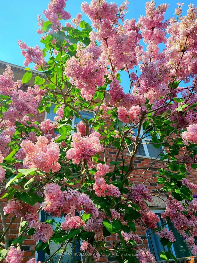 Additional image 35 of D-17 Overlea Blvd