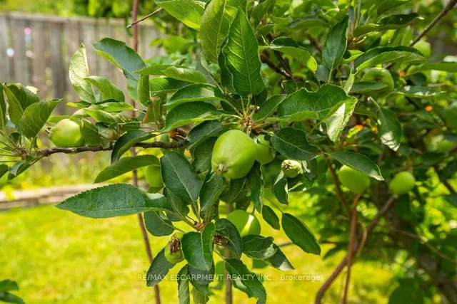 Additional image 47 of 235 Upper Mount Albion Rd