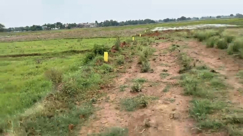 Additional image 2 of Bihta, Patna