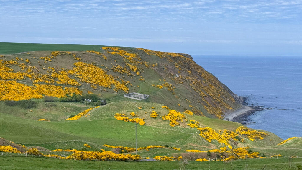 Additional image 29 of High Green, Gardenstown, Banff, AB45