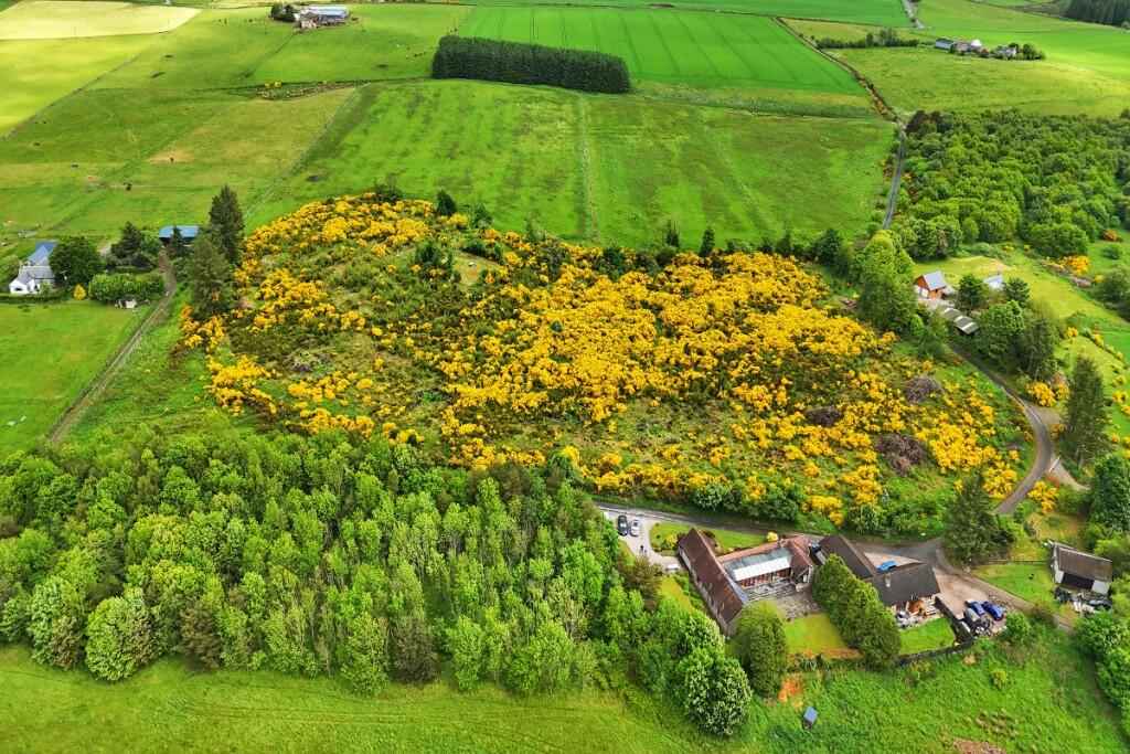 Additional image 14 of Pinewood, Auchencrieve, Methlick, AB41 7DJ