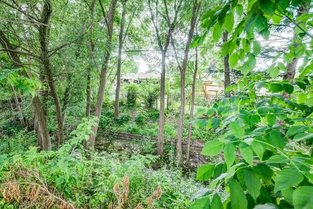 Additional image 37 of 21 Ruskview Rd