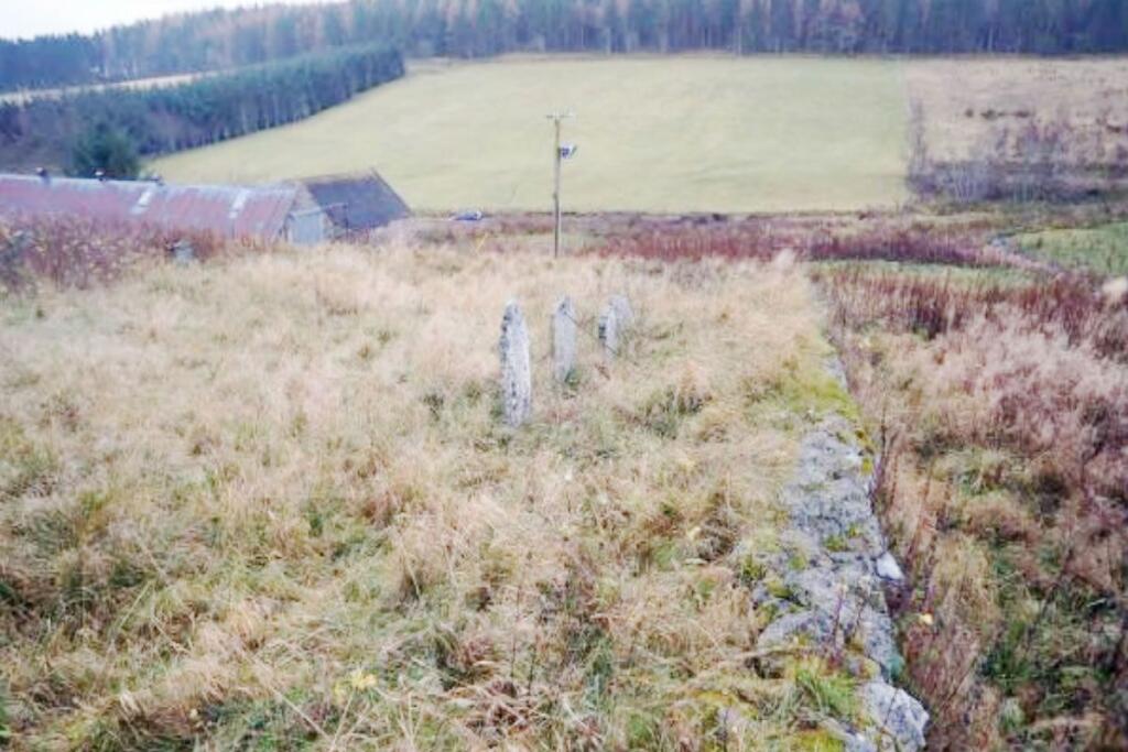 Additional image 11 of , 0.64 Acres Site at St Brides, Cushnie, Alford, AB338LD