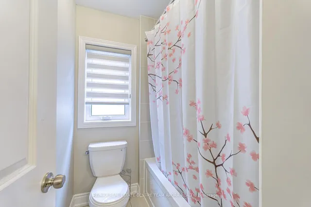 房产图片 39 - 多兰·斯图尔特路18号