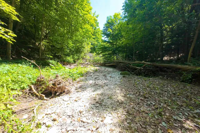 Additional image 44 of 2156 Lower Base Line