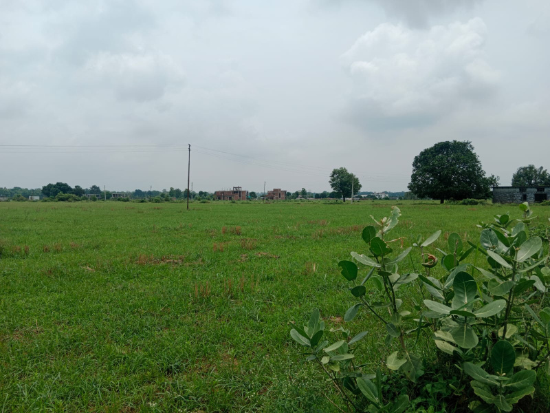 Additional image 3 of Kaladhungi, Nainital