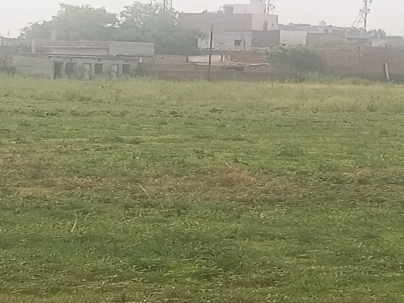 Additional image 3 of Sikri, Faridabad