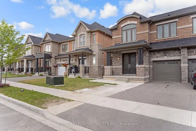 Additional image 2 of 111 Iceland Poppy Tr