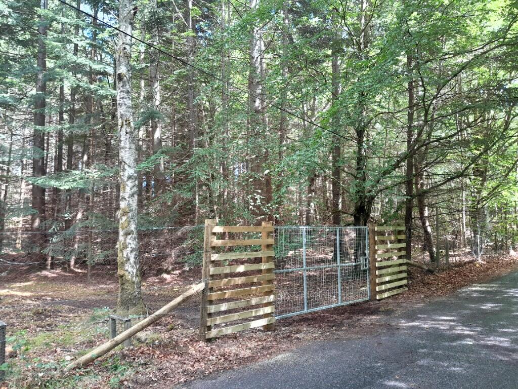 Additional image 14 of Minnonie Woodland, Falls of Feugh, AB31