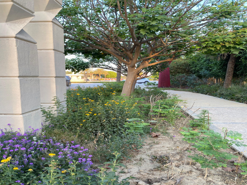 Additional image 3 of Raebareli Road, Raibareli Road, Lucknow