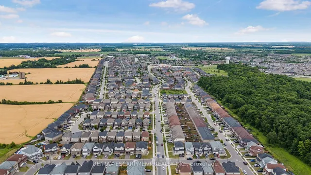 Additional image 32 of 289 PUMPKIN Pass