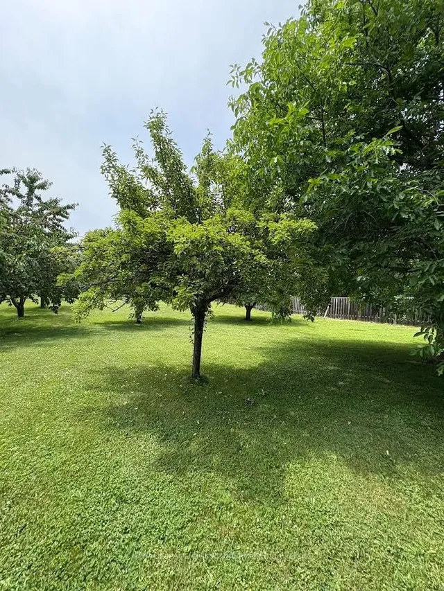 Additional image 7 of 4097 Hickory Dr