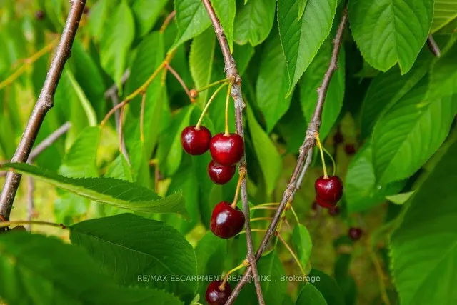 Additional image 46 of 235 Upper Mount Albion Rd