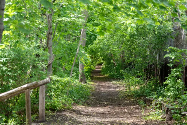 Additional image 45 of 137 Marlborough Pl