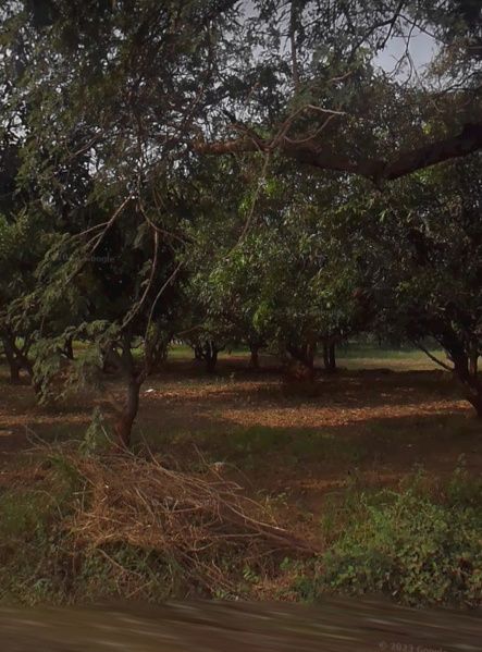 Primary image of Bodeli, Vadodara