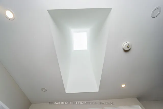 Additional image 27 of 111 Iceland Poppy Tr