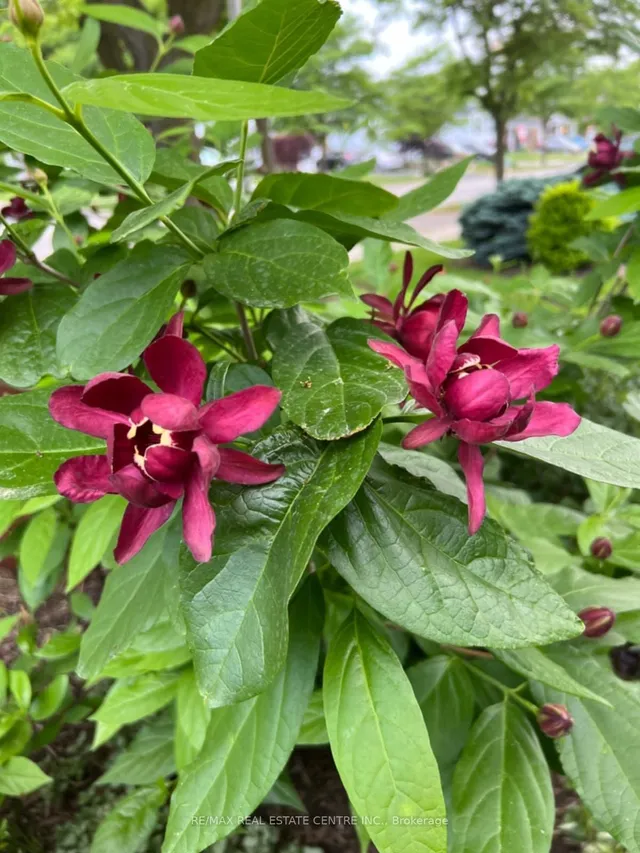 Additional image 45 of 369 Wilson Dr