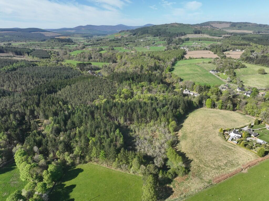 Primary image of Minnonie Woodland, Falls of Feugh, AB31