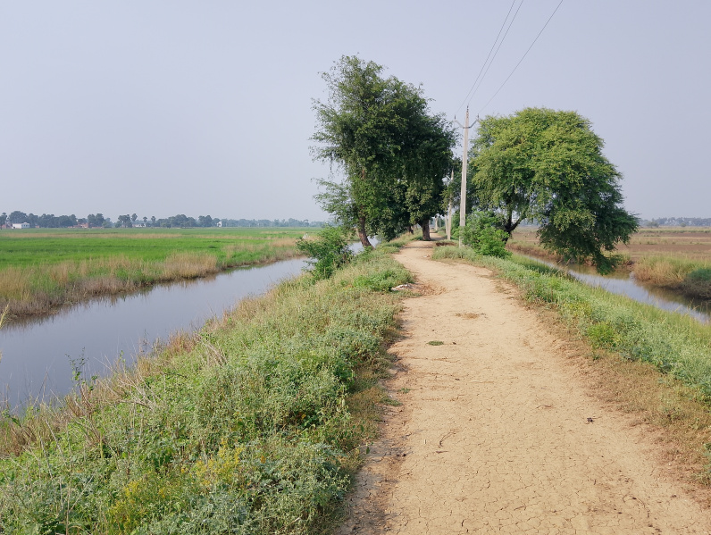 Additional image 2 of Beldari Chak, Patna