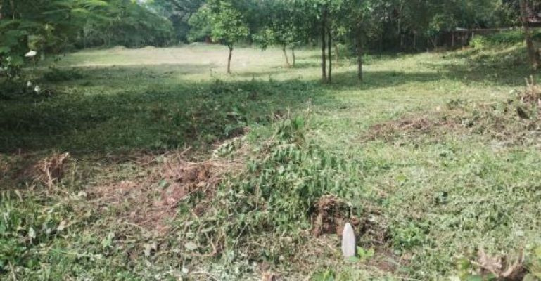 Additional image 2 of Ucassaim, North Goa, Goa