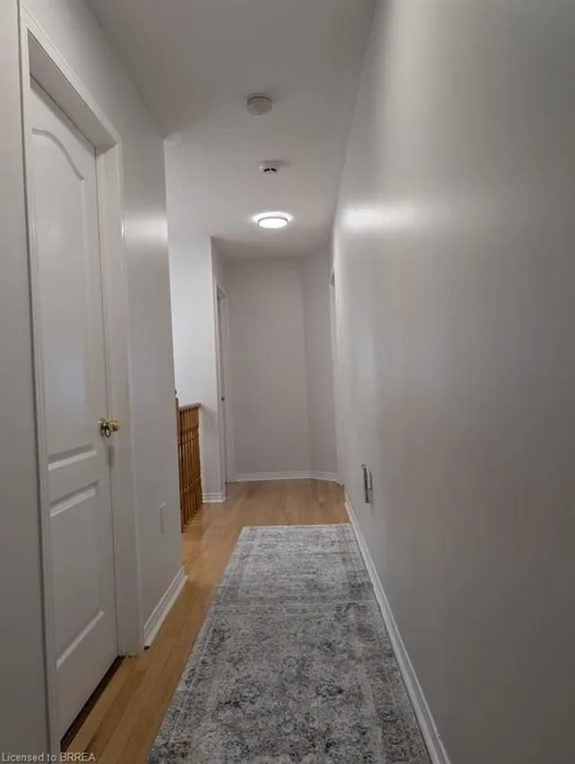 Additional image 4 of 10 Polar Bear Pl