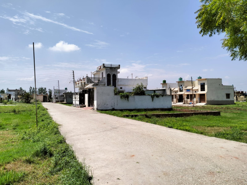 Patanjali Yogpeeth, Haridwar