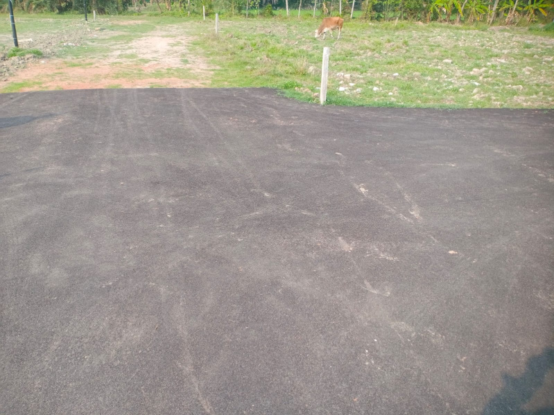 Additional image 2 of Rasapunja, Kolkata