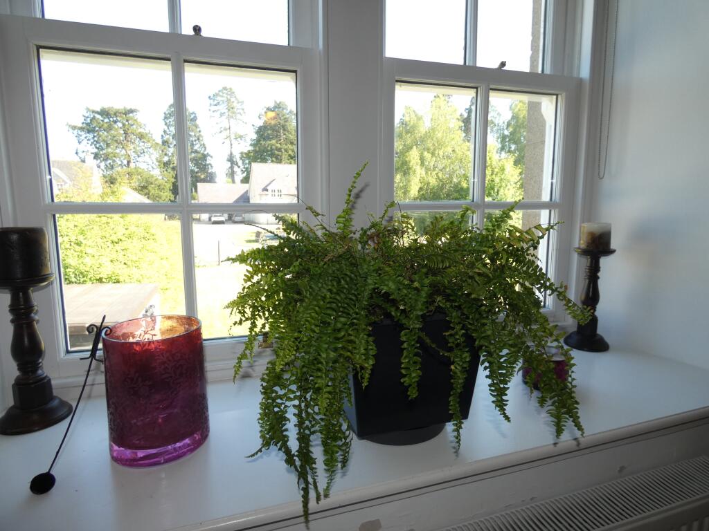 Additional image 11 of Stable Close, Inverurie, AB51