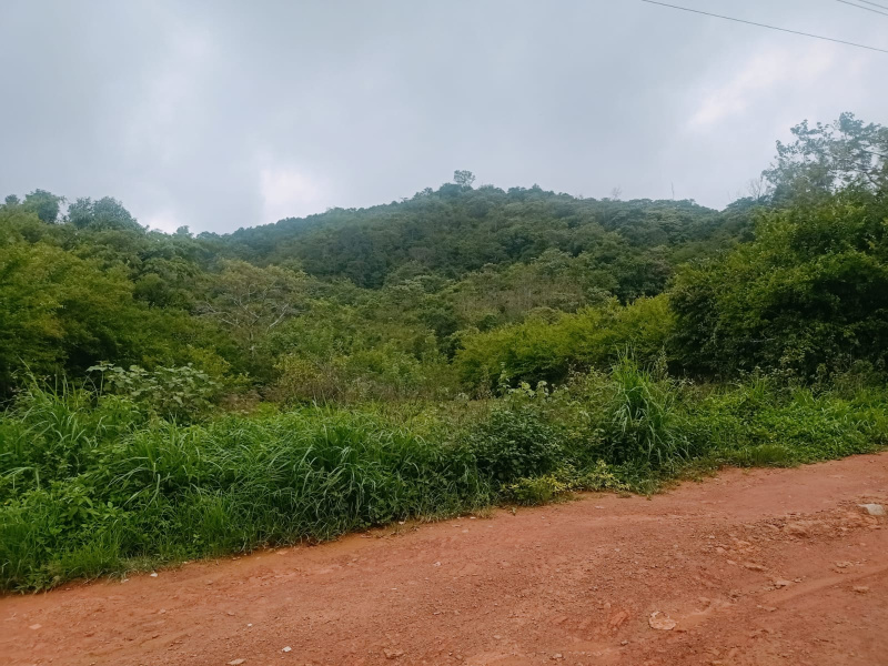 Additional image 3 of Mathikere, Bangalore