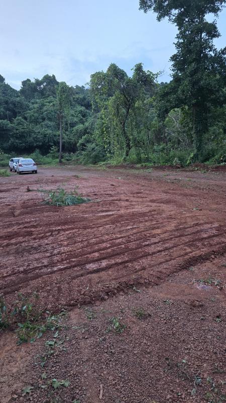 Additional image 3 of Salvador Do Mundo, Bardez, Goa