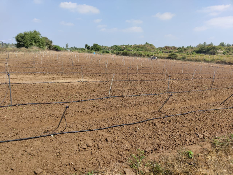 Additional image 3 of Malur, Bangalore