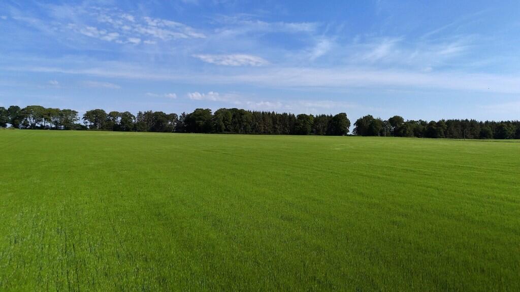 Additional image 5 of Lot 2 Land at Park Farm, Sauchen, AB51 7JR