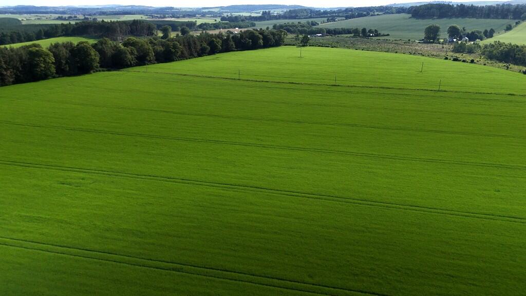 Additional image 6 of Land at Park Farm, Sauchen, AB51 7JR