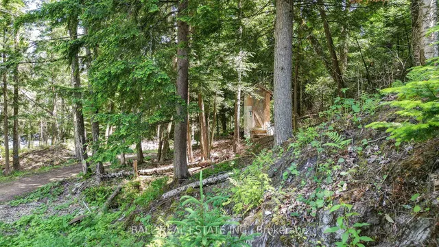 Additional image 37 of 110 Lillian Lane