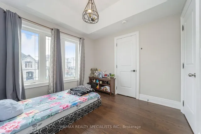 Additional image 24 of 111 Iceland Poppy Tr