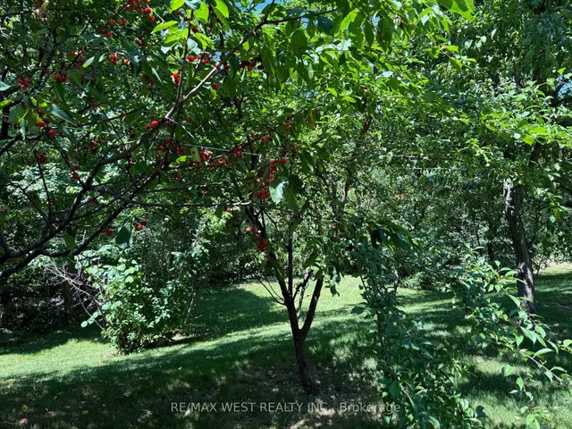 Additional image 40 of 4256 Petersburg Cres