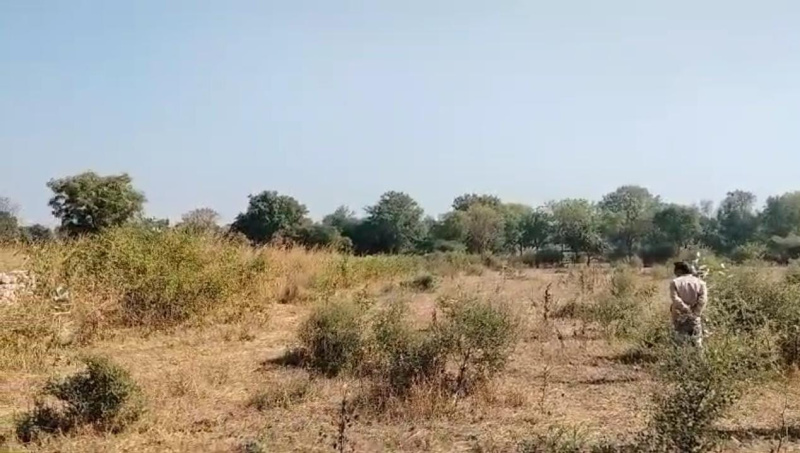 Additional image 2 of Mavli, Udaipur