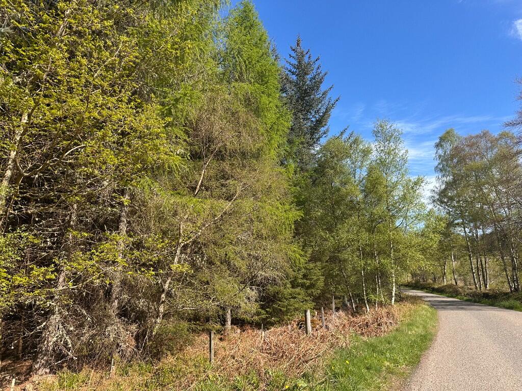 Additional image 13 of Minnonie Woodland, Falls of Feugh, AB31