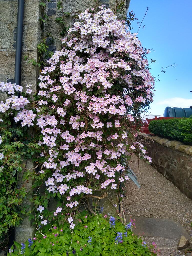 Additional image 26 of Station Terrace, Longside, AB42