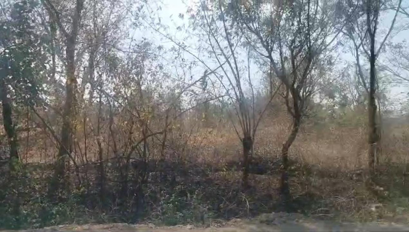 Additional image 2 of Mavli, Udaipur