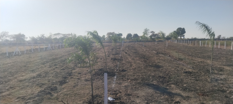 Additional image 2 of Parwaliya Sadak, Bhopal