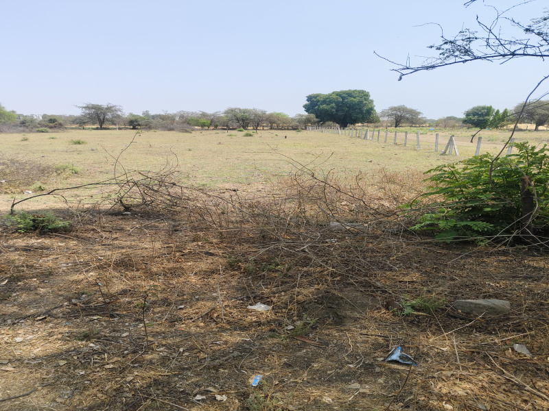 Additional image 3 of Bhaunri, Bhopal