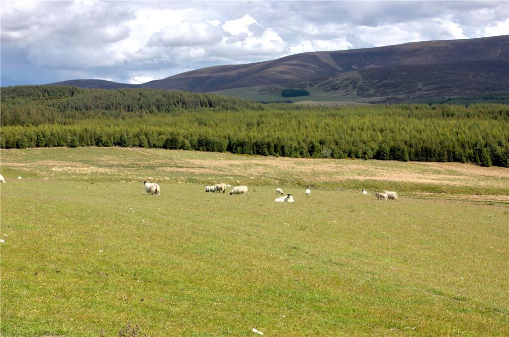 Additional image 5 of Hillhead Of Morinsh, Glenlivet, Ballindalloch, Moray, AB37